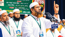 বিএনপিকে ভূতে ধরেছে’—লক্ষ্মীপুরে মামুনুল হক | দৈনিক সময়ের নুর